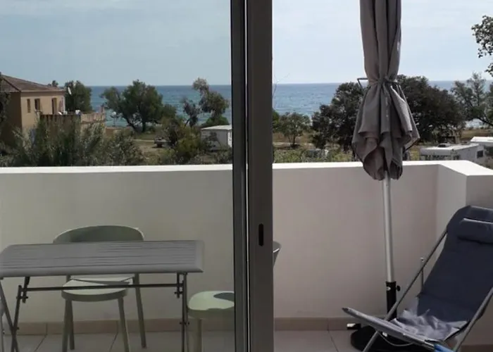 T2 Vue Marina Di Bravone N197 * Linguizzetta