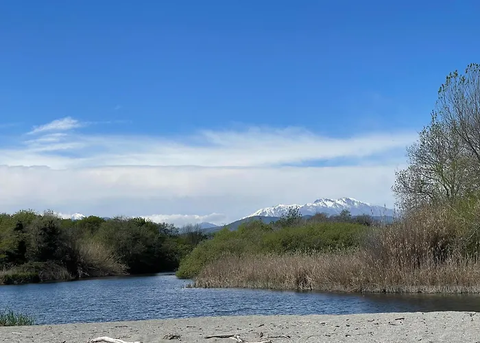 T2 Vue Marina Di Bravone N197 Apartman *